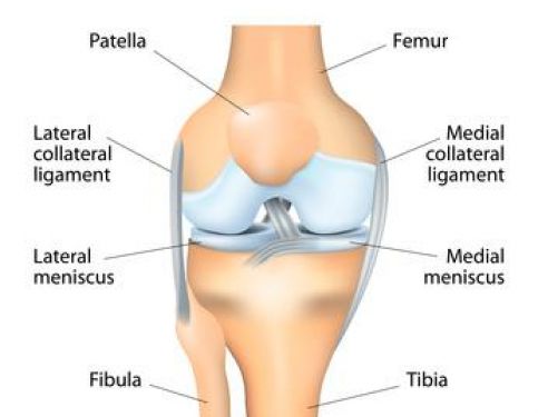 Physiotherapy At Home In Sutton Coldfield After A Knee Replacement